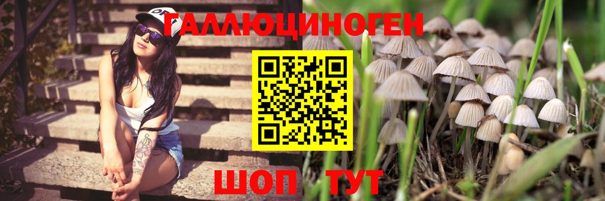 Сыктывкар  где можно купить наркотик  Псилоцибиновые грибы ЛСД  Вход с VPN  Псилоцибиновые грибы мухоморы 